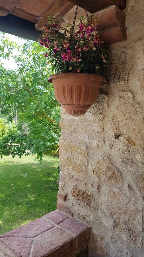 San Paterno B&B ラポラーノ・テルメ エクステリア 写真